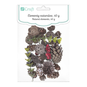 Decor pentru creație Elementele naturii, mix, 50 gr.