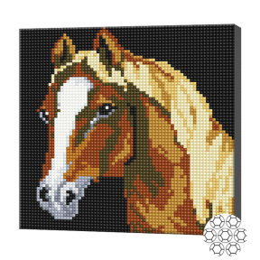 Лошадка, 20x20 см, алмазная мозаика