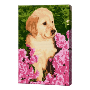 Cățelușul printre flori, 20х30 cm, pictură pe numere