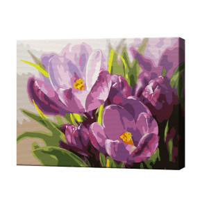Распустившиеся крокусы, 30x40 см, картина по номерам