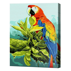 Papagal pe crenguță, 30x40 cm, pictură pe numere