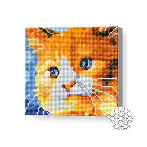 Рыжий котенок, 20х20 см, алмазная мозаика