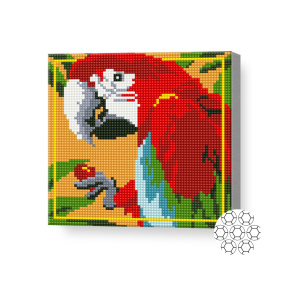 Яркий попугай, 20х20 см, алмазная мозаика