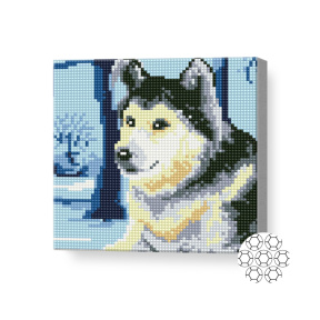 Сибирский хаски, 20х20 см, алмазная мозаика