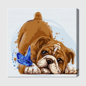 Bulldog și fluture 20х20 cm, pictură pe numere