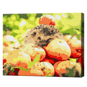 Ежик среди яблок 20х30 см, картина по номерам