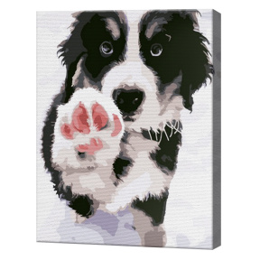 Дай лапу! 20х30 см, картина по номерам