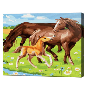 Дикие мустанги 20х30 см, картина по номерам