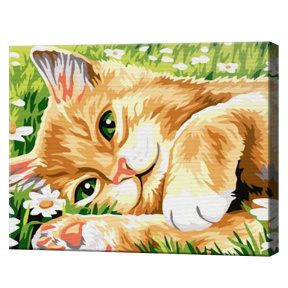 Рыжий котик в ромашках 20х30 см, картина по номерам