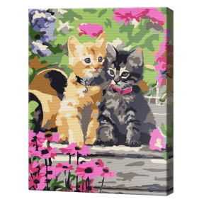 Два пушистых брата 20х30 см, картина по номерам