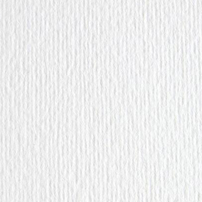 Hârtie pentru pasteluri LR Bianco 70x100cm, 220gr