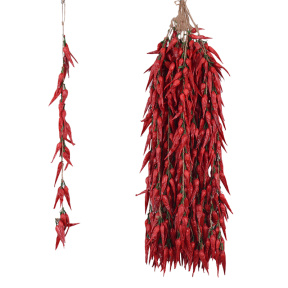 Legume pentru decor, Legătură, Ardei chilli mic, roșu 30 buc, 60 cm