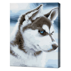 Cățeluș husky, 30х40 cm, pictură pe numere