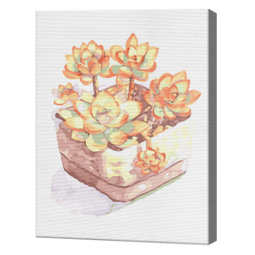 Succulenti în acuarela, 30х40 cm, pictură pe numere