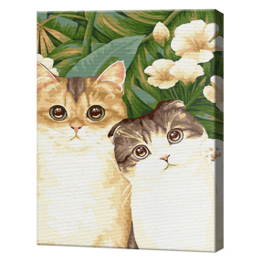 Большеглазые котики, 30х40 см, картина по номерам