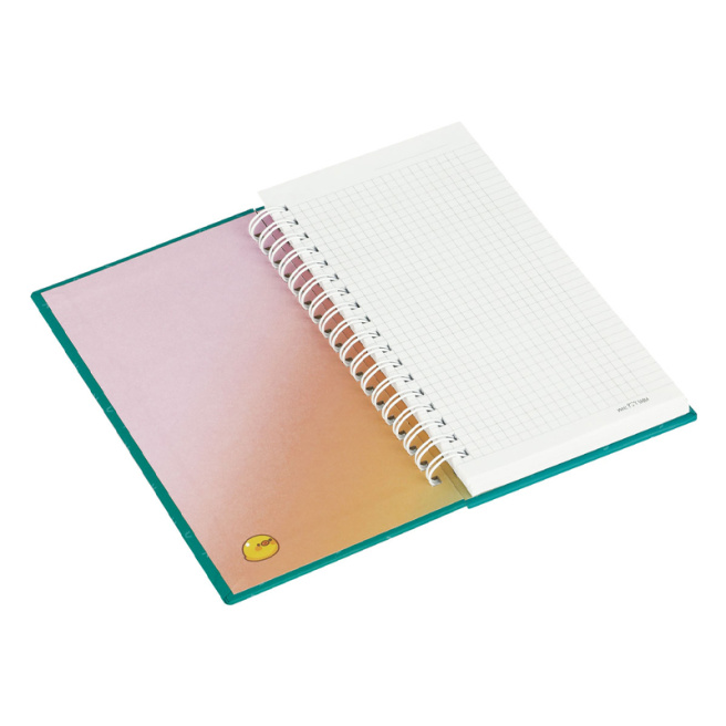 Записная книжка C6 клетка 96л. MESHU "My cute day" на спирали