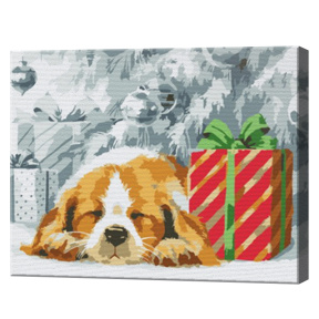 Cadou adormit 20х30 cm, pictură pe numere