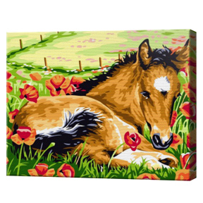 Жеребенок в маковом поле 20х30 см, картина по номерам