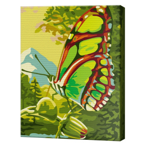 Роскошная бабочка 20х30 см, картина по номерам