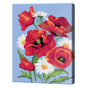 Маки и ромашки 20х30 см, картина по номерам