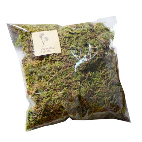 Decor pentru creatie muschi, verde