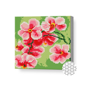 Алмазная мозаика 20x20 см Розовые орхидеи