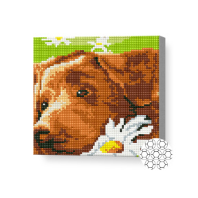 Алмазная мозаика 20x20 см Бурый пес