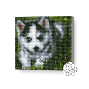 Алмазная мозаика 20x20 см Щенок хаски
