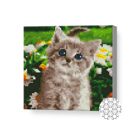Алмазная мозаика 20x20 см Серый котенок