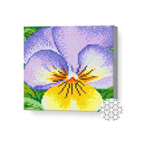 Mozaic cu diamante 20x20 cm Ochii Anei