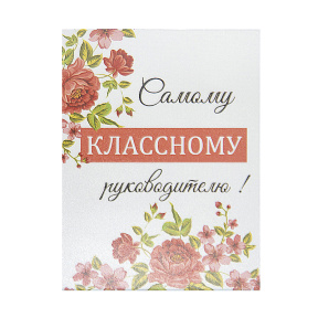 Magnet "Самому классному руководителю!"