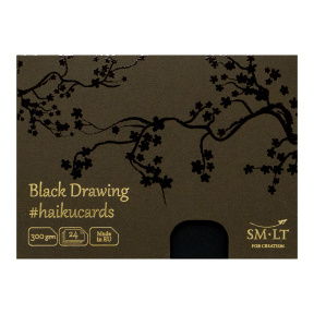 Set cartonașe HAIKU pentru creion și marker, în cutie 14,7x10,6cm, 24f, 300g, culoare neagră