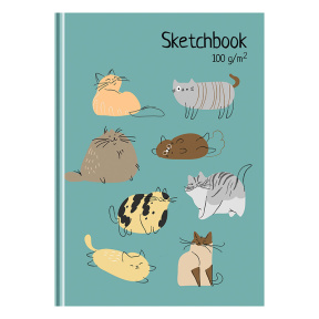 Sketchbook 100 foi А5 BG "Găsește pisica", laminare mată, 100 g/m2