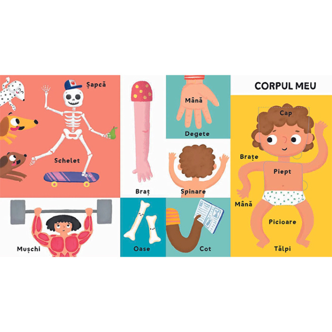 Corpul meu Primele mele 100 de cuvinte