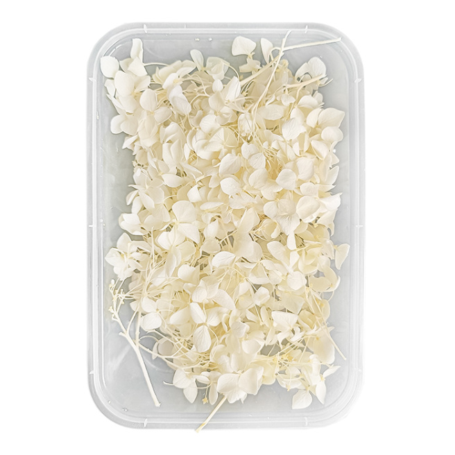 Set flori pentru decor, Hortesia, culoare albă