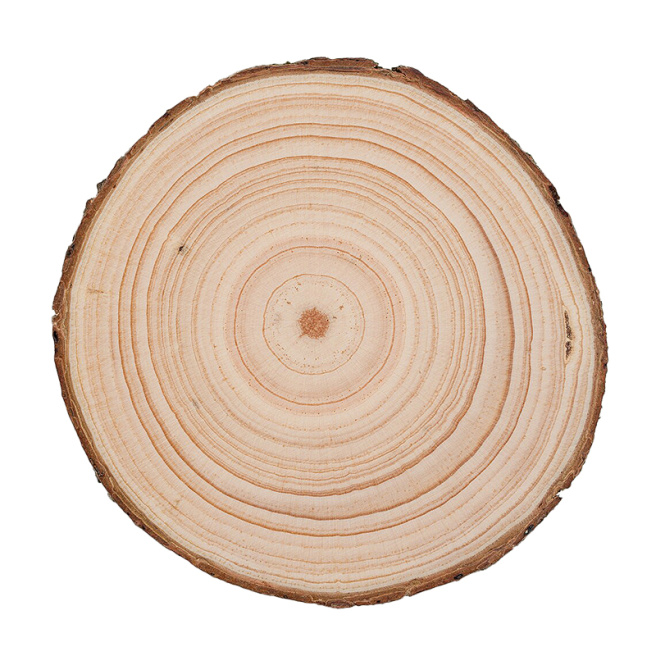 Disc din lemn, baza pentru creativitate, cerc 7*1cm