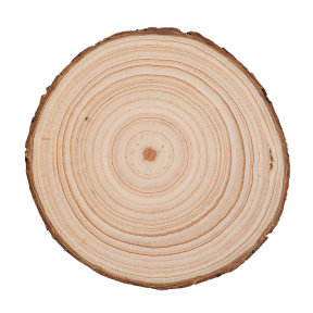 Disc din lemn, bază pentru creativitate de Paște, cerc 7x1cm