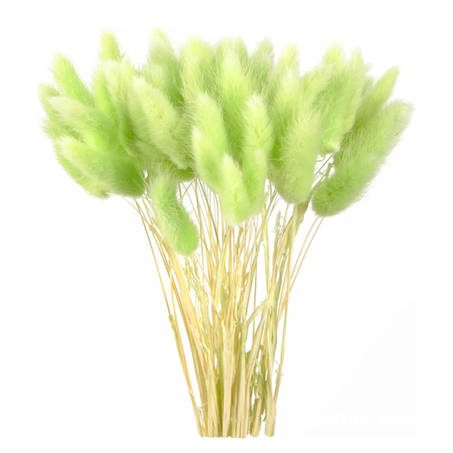 Set decor de Paște, Lagurus verde