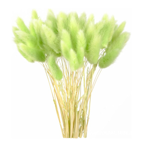 Пасхальный Букет Лагуруса, цвет зеленый