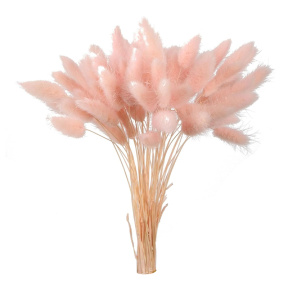 Set decor de Paște, Lagurus roz