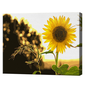 Floarea soarelui, 40x50cm, pictură pe numere