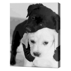 Черный и белый щенята, 40x50 см, картина по номерам