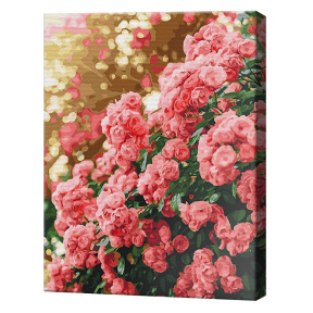 Розовый куст, 40x50 см, картина по номерам