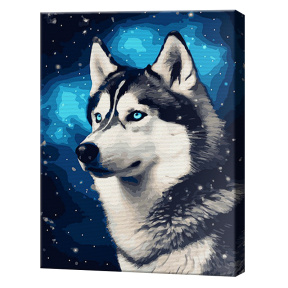 Husky și cosmos, 40x50cm, pictură pe numere