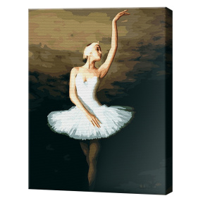 Eleganta balerină, 40x50cm, pictură pe numere