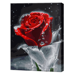 Trandafir roșu, 40x50cm, pictură pe numere