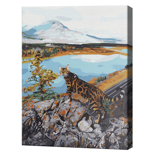 Путешествие с котом, 40x50 см, картина по номерам