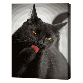 Pisică neagră, 40x50cm, pictură pe numere