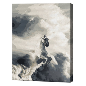 Calul în nori, 40x50cm, pictură pe numere