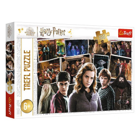 Пазлы "160" - Harry Potter and friends / Warner Harry Potter